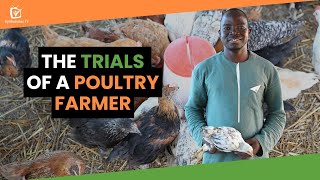 Burkina Faso: The trials of a poultry farmer