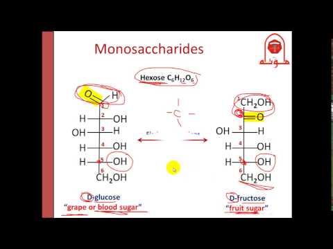 فيديو: أي مما يلي هو c-2 epimer لـ d-glucose؟