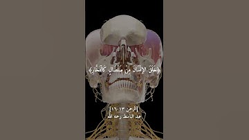 خلق الانسان من صلصالً كالفخار | سورة الرحمن|عبد الباسط ||القرأن الكريم راحة نفسيه طمأنينه ستوري قرأن