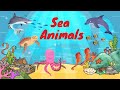 SEA ANIMALS for kids-Learn English-Kids Vocabulary-Kids Educational Videoالحيوانات المائية للأطفال