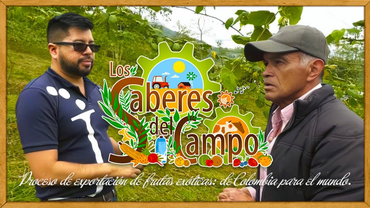 Los Saberes del campo: frutas exóticas de Colombia para el mundo