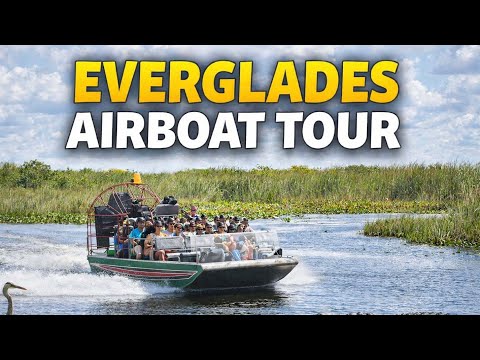 Everglades Airboat Tour at Sawgrass Recreation Park | Alligators & Wildlife 🐊🌿