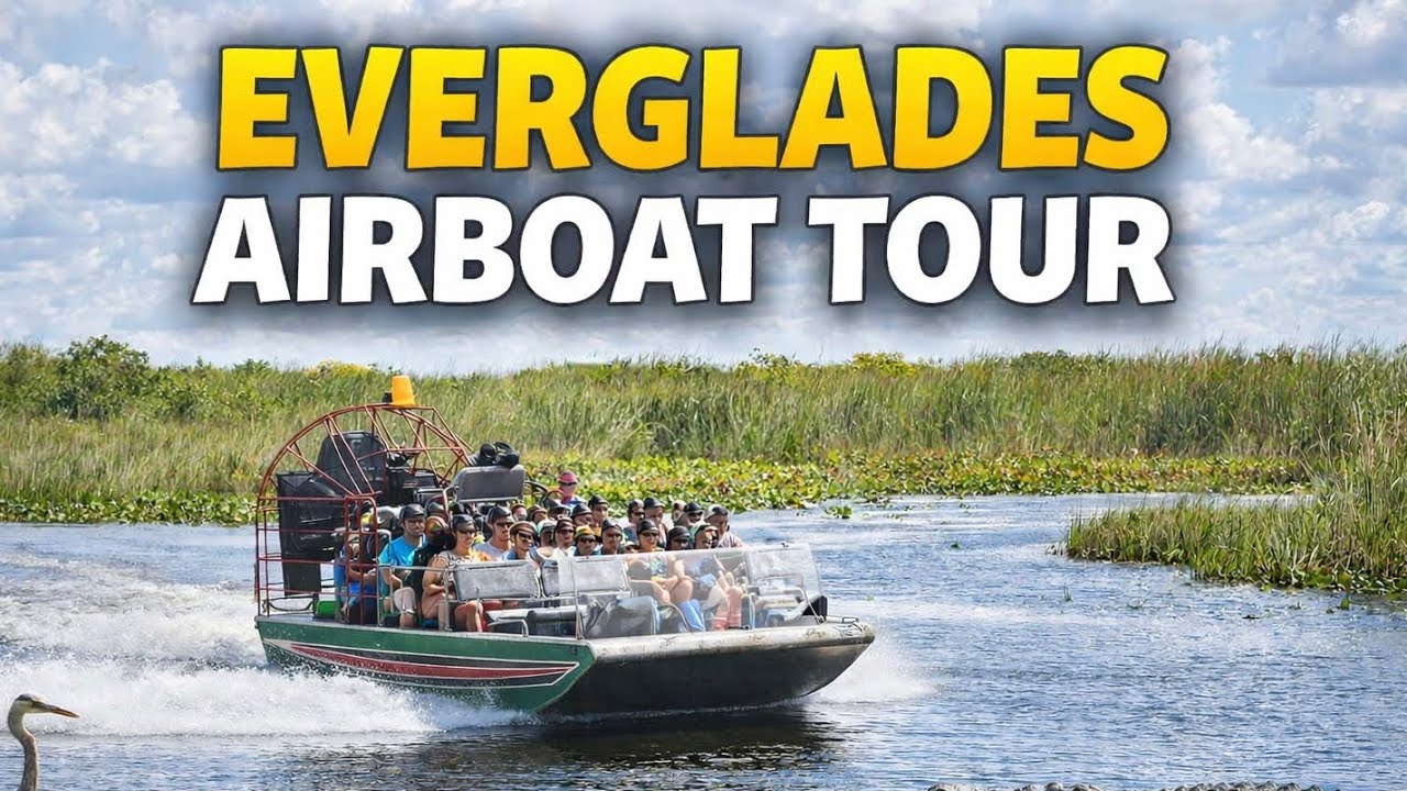 Everglades Airboat Tour at Sawgrass Recreation Park | Alligators & Wildlife 🐊🌿