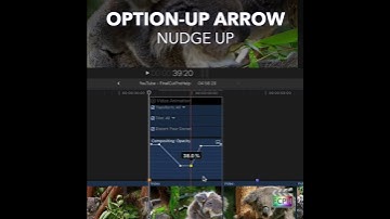 Final Cut Pro Shortcut | Option-Up Arrow | Nudge Up