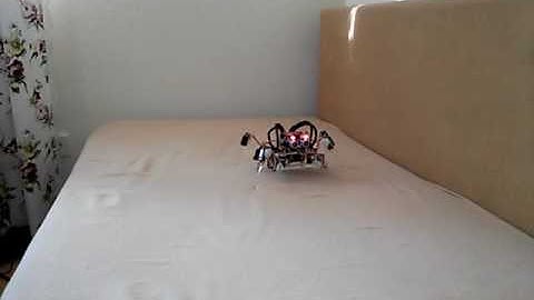 Quadruped Robot