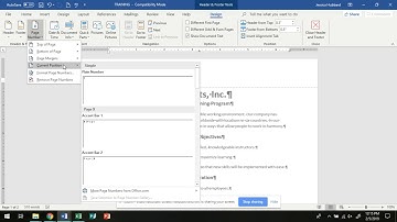Header Footer, Page Numbers, Date & Time