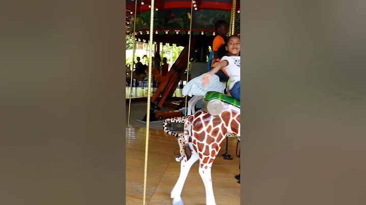 Zoo fun