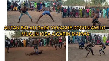 AUTAN BALAN GADA YAKASHE DOGON AWILO MUGUN KISA A MAKWA