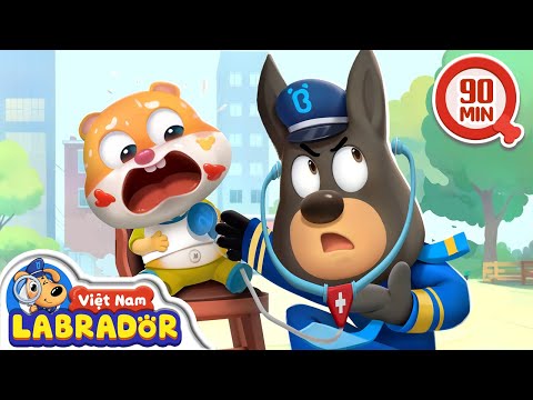🤮 Không ăn quá nhiều đồ ăn vặt 👮 Cảnh sát trưởng Labrador Vietnam 🚔