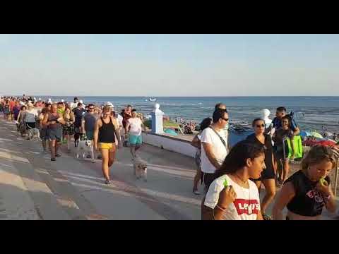 Más de 300 personas se manifiestan en Matalascañas para pedir playas caninas en Andalucía