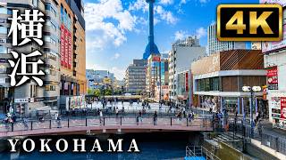 『4K』横浜駅周辺散歩/Yokohama Station Walk