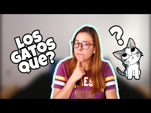 Video: La verdad detrás de 5 mitos comunes sobre los gatos