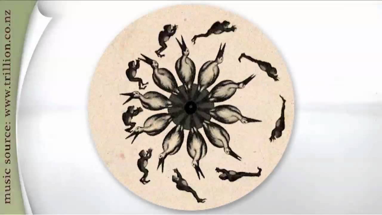 039 zoetropephenakistoscope frog and stork YouTube