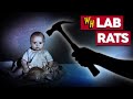 The Little Albert Experiment Quiz