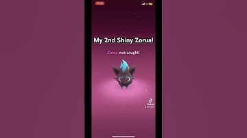 Catching my 2nd shiny Zorua! Halloween Event 2024 Part 2 #pokemongo #shorts
