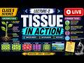 Meristematic Tissue Explained Like Never Before 🤯 | Class 9 Science | Lect-2