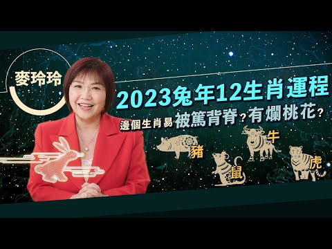 【麥玲玲2023兔年運程】12生肖運勢（三）：豬、鼠、牛、虎！肖豬易被人篤背脊！呢個生肖易有爛桃花！屬虎財運、健康都麻麻？