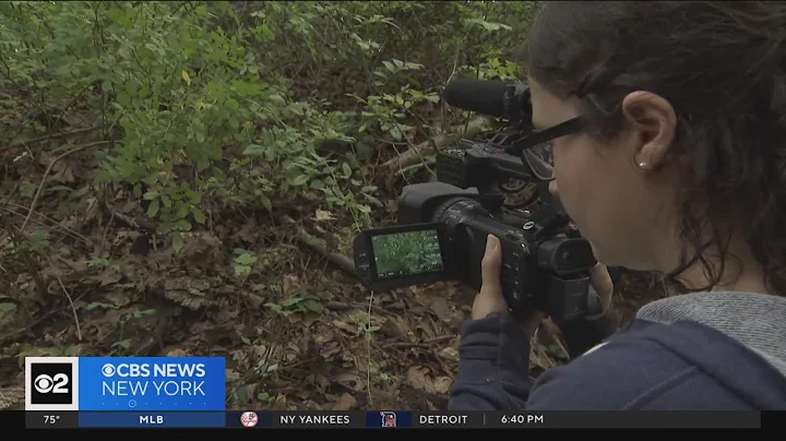 Invasive plants threatening Long Island's native species