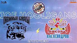 Снежные Барсы, г.Москва vs Рекорд, г.Александров