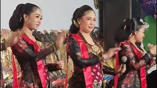 Penampilan Sinden Sinden Cantik Giri Sekar dalam Pagelaran Wayang Kulit Dalang Ki Samingun