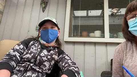 Audrey Phonographix  Blending