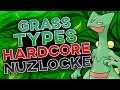 Can I Beat A Pokemon Emerald HARDCORE NUZLOCKE With Only Grass Types?!