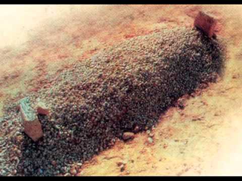 شعر نبيل العوضي في ظلمة القبر