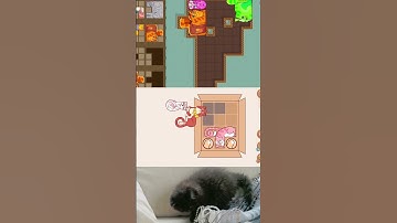 Puzzle Cats #shorts 120