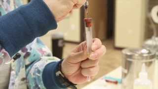 Basic Blood Collection - Veterinary Technician Training