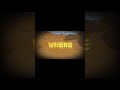 Where Have You Been