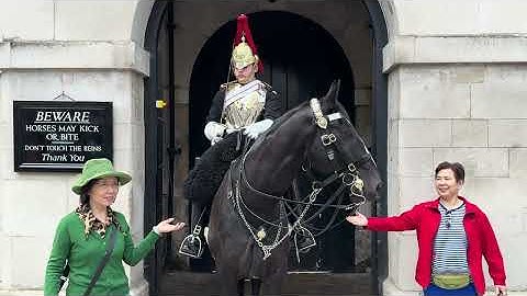 TOURIST MESSED WITH THE WRONG KING’S Horse #Ormonde