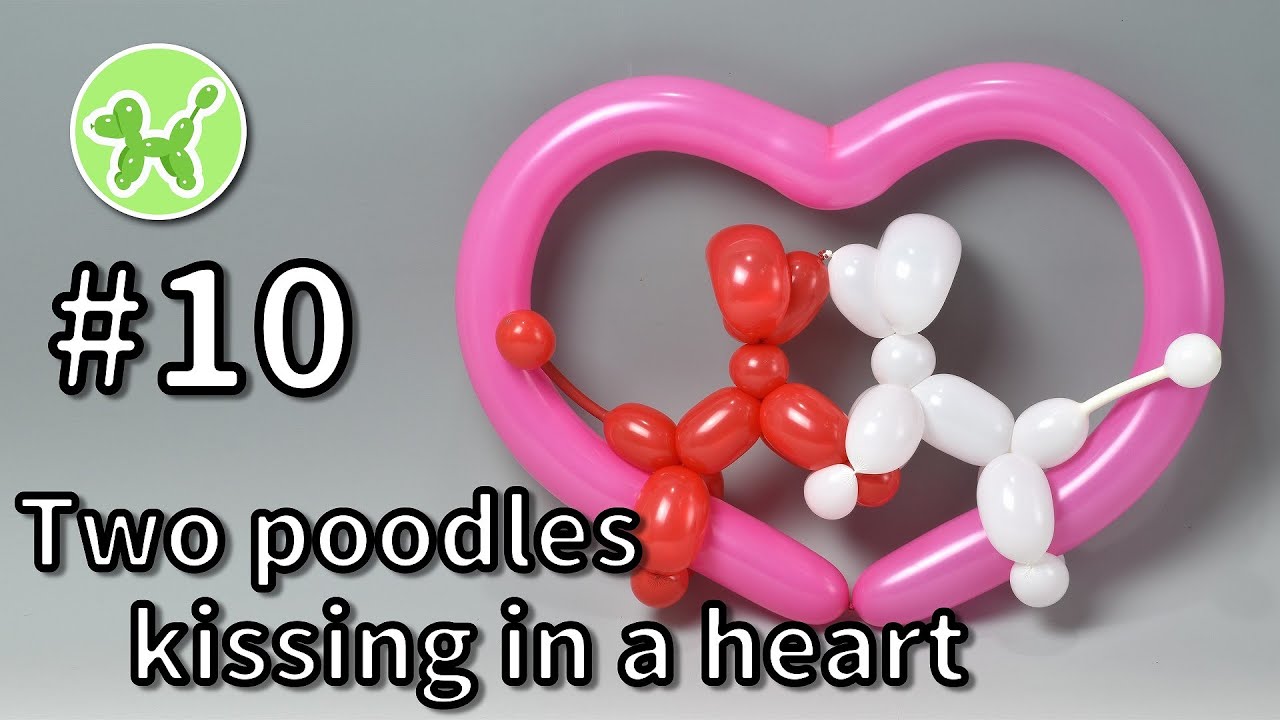 Two Poodles Kissing In A Heart Balloon Animals For Beginners 10 バルーンアートの基本 10 ハートプードル Youtube