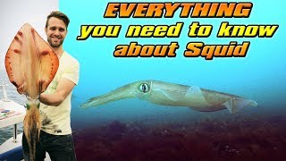 RAW Fishing Episode 1: Squid