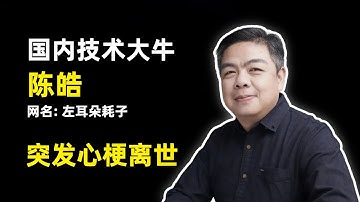 【人物】陈皓  (网名左耳朵耗子） | MegaEase创始人 | 资深技术专家 | 骨灰级程序员 | 上周六突发心梗逝世年仅47岁 | InfoQ二叉树人物纪录片《初心》