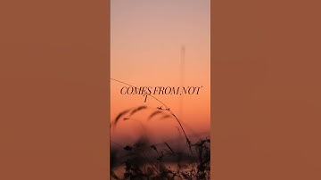 The Path to Embracing Success: A Journey Filled with Courage and Determination #motivation #mindset