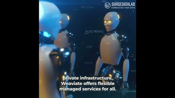 Why Weaviate Is the Backbone of Next-Gen AI Infrastructure?