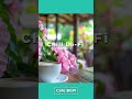 沖縄カフェ#chill #music #bossanova #coffee #lofi #study #work #bgm #cafe #okinawa #hummingbird
