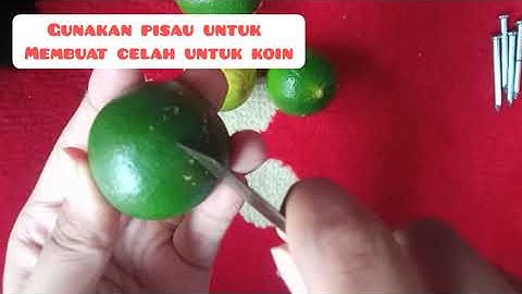 Praktikum sederhana Sel Volta (membuat baterai buah dari jeruk nipis) ||kimia