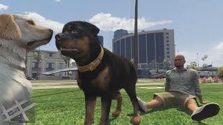 SOY UN PERRO!! | GTA 5