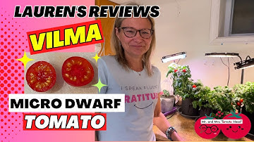Lauren Reviews VILMA Micro Dwarf Tomato!