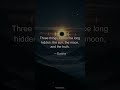 Buddhas 3 Unbreakable Laws of Reality #buddha #wisdom #truth