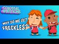 Video Tutorial Quiz