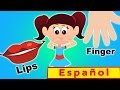 cabeza, hombros, rodillas y dedos canciones infantiles para los niños | español | compilación