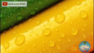 Maulayasol by Muhasabatul Qolbi (MQ) !!