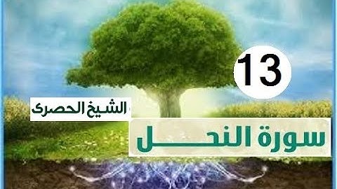 ‏المصحف المعلم الشيخ الحصري  سورة  النحل الجزء الرابع عشر الوجه18