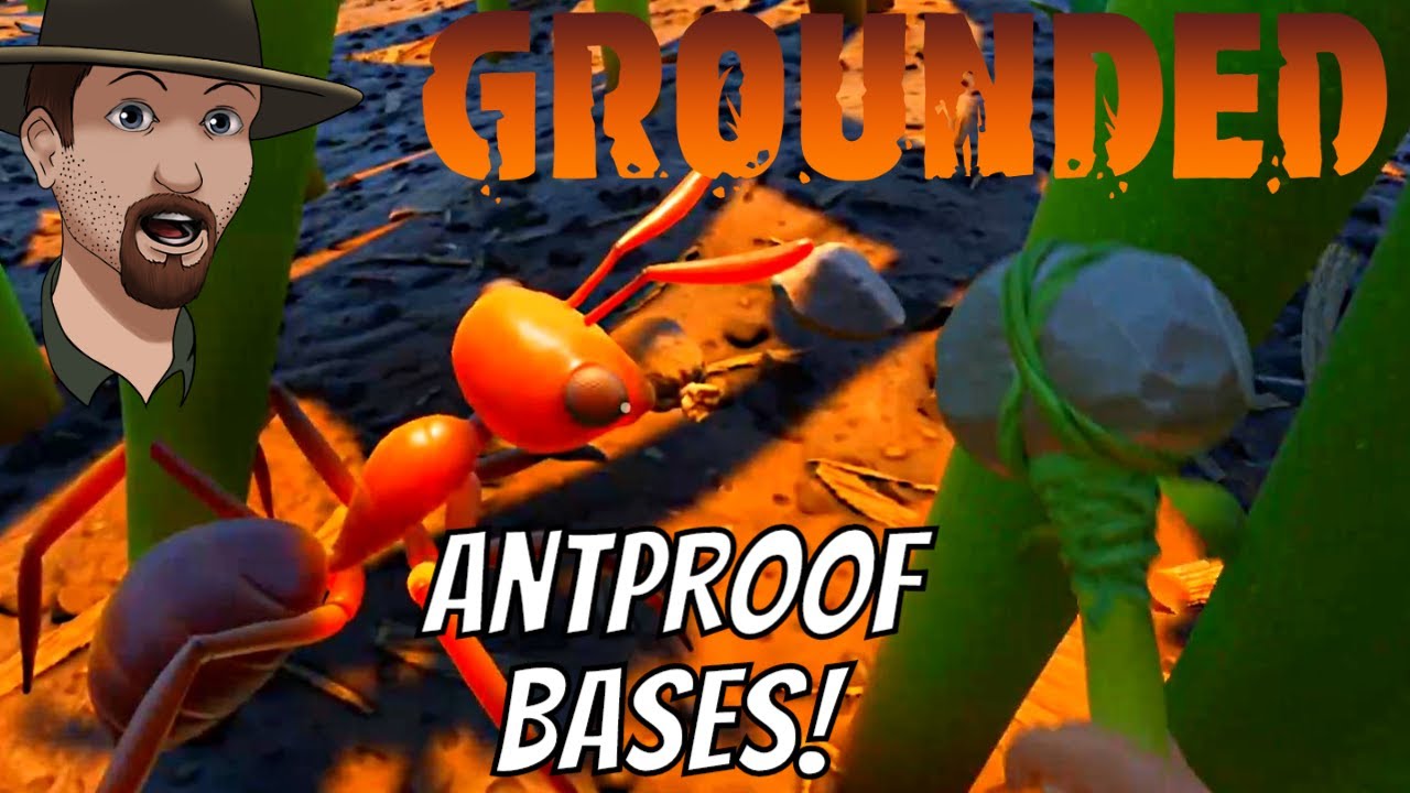 ANTPROOF Bases in Interesting Places- Grounded Quick Tip