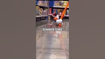 Sorry I haven’t posted in a while I’ve been busy!