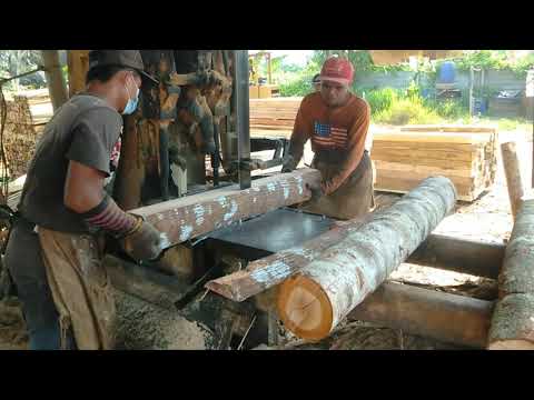 Video: Kayu Teladan