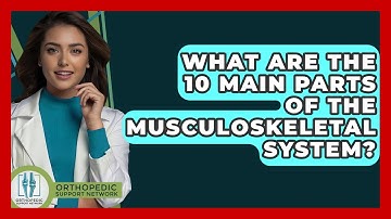 What Are The 10 Main Parts Of The Musculoskeletal System? - Orthopedic Support Network