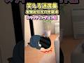 🔥740万再生!笑える迷言集~単身赴任先の修羅場~【2ch面白スレ】